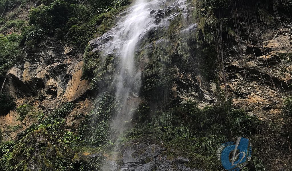 Maracas St Joseph River and Waterfall Make life your adventure.