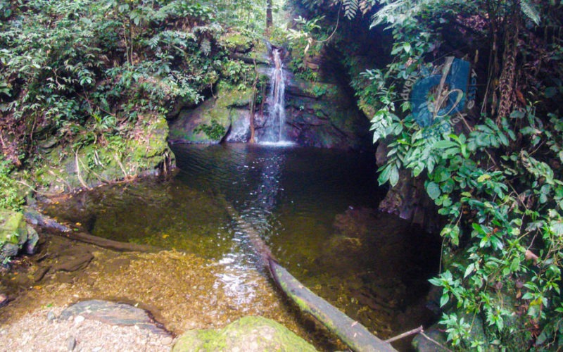 Upper Maracas Waterfall Cold and Shaded Make life your adventure.