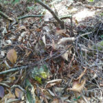 PT-KNZ Piper PA-23 Aztec