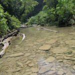 Matura River