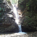 Brasso Seco