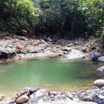 Brasso Seco