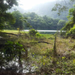 Hollis Dam and Waterfall