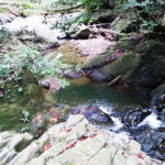 Balandra Basin