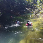 Mystery Pool & 3 Sprouts