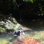 Mystery Pool & 3 Sprouts