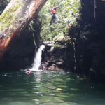 Mystery Pool & 3 Sprouts