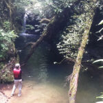 Mystery Pool & 3 Sprouts