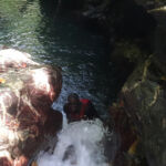 Mystery Pool & 3 Sprouts