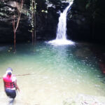 Mystery Pool & 3 Sprouts