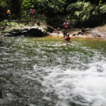 Mystery Pool & 3 Sprouts