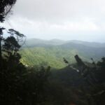 Mystery Pool & 3 Sprouts