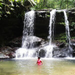 Mystery Pool & 3 Sprouts