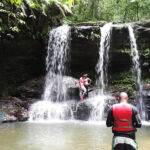 Mystery Pool & 3 Sprouts