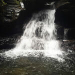 Mystery Pool & 3 Sprouts