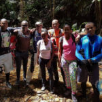 Mystery Pool & 3 Sprouts