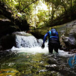 Mystery Pool & 3 Sprouts