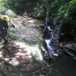 Mystery Pool & 3 Sprouts