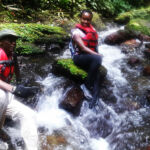 Mystery Pool & 3 Sprouts