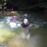 Mystery Pool & 3 Sprouts