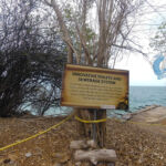 Toilets built on metals beams placed over the sea, all waste use to go directly into the water. Sewer System