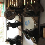 Saddle Collection at Moruga Cocoa Chocolate Museum. Moruga Cocoa Chocolate Museum.