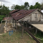 House used to dry cocoa at Moruga Cocoa Chocolate Museum. Moruga Cocoa Chocolate Museum.